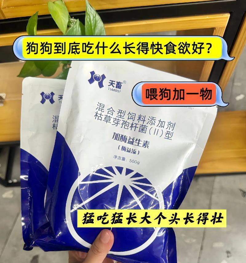 解决狗狗挑食问题的有效方法（三天内帮助狗狗恢复正常饮食习惯）