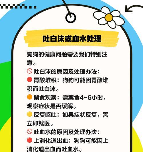 狗狗呕吐拉稀（保护宠物健康，及时处理胃肠问题）
