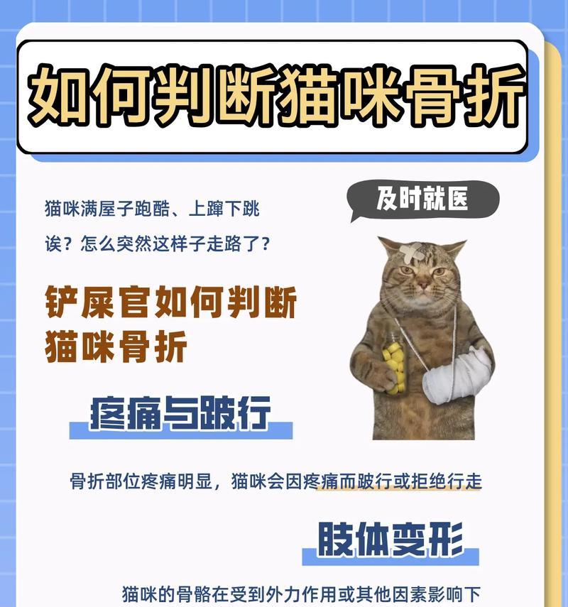 猫腿瘸了多久能好？（探究猫腿瘸的康复时间和关键因素）