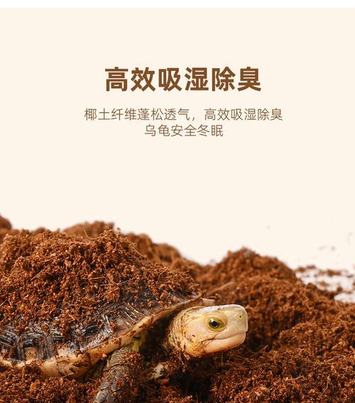 黄缘冬眠的时长及特点（揭秘黄缘冬眠）