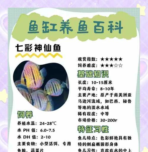 神仙鱼繁殖的时间需要多久？（探究神仙鱼繁殖周期及关键因素）