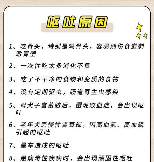 狗狗呕吐拉稀的常见原因及解决办法（了解狗狗呕吐拉稀的原因，保证狗狗的健康）