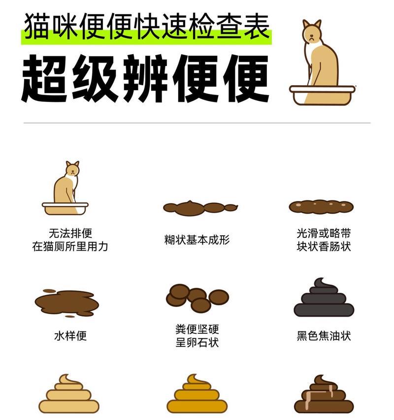 小猫的排便习惯（揭秘小猫的排便周期和注意事项）