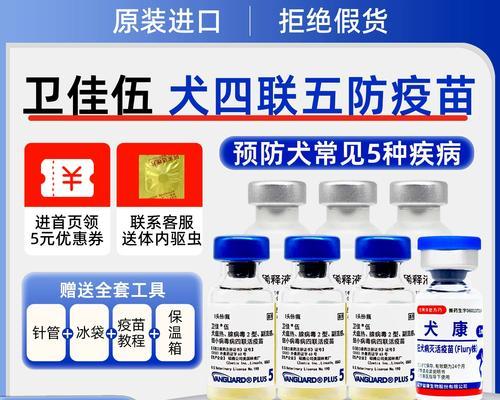 狗狗疫苗保健，了解常见疫苗及费用（帮助您为爱犬提供全面的免疫保护）