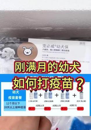 狗细小疫苗的注射周期与注意事项（了解狗细小疫苗的注射频率及养护知识）