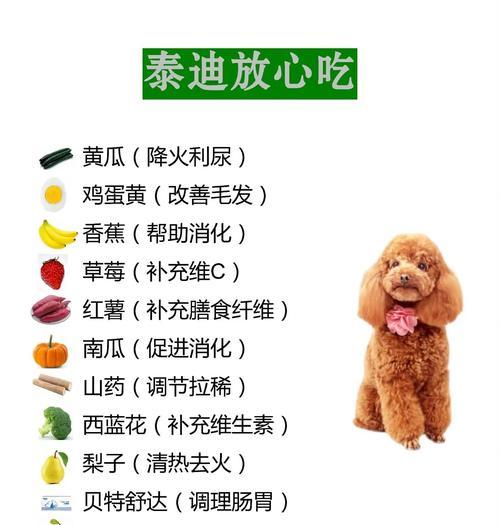 探究泰迪幼犬磨牙棒的使用时间（为你的幼犬提供适当的咀嚼方式）