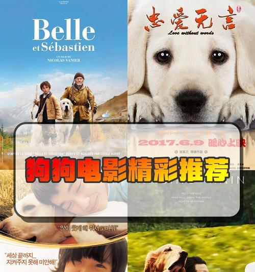 狗狗的情感旅程（探索人类与狗狗之间深刻情感的电影作品）