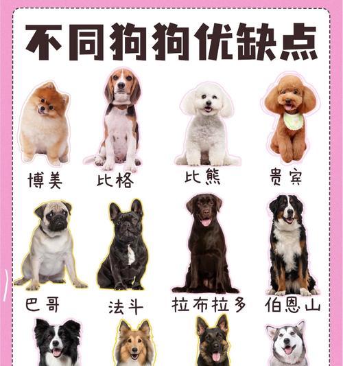 狗狗之间的交流方式（揭秘狗狗之间的五种交流方式）