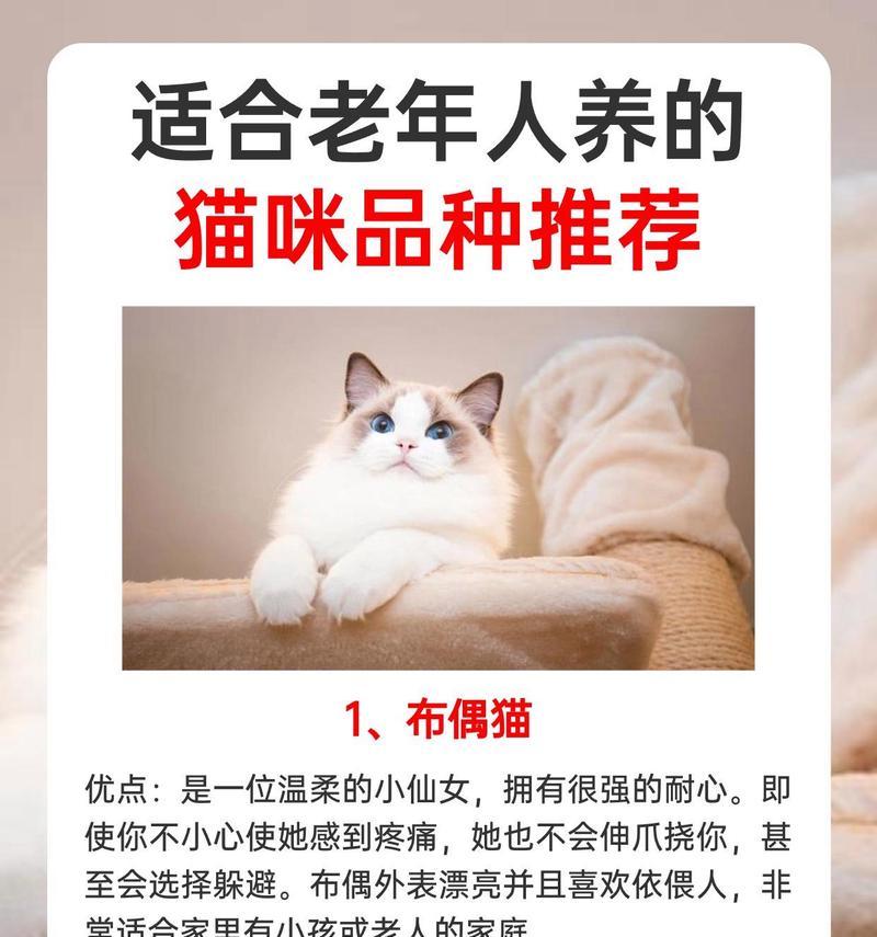 养猫心得（揭秘5种聪明的猫咪品种及布偶猫的特点）