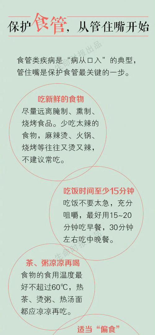 泰迪犬的饮食禁忌（小心！泰迪犬绝对不能吃这些食物）