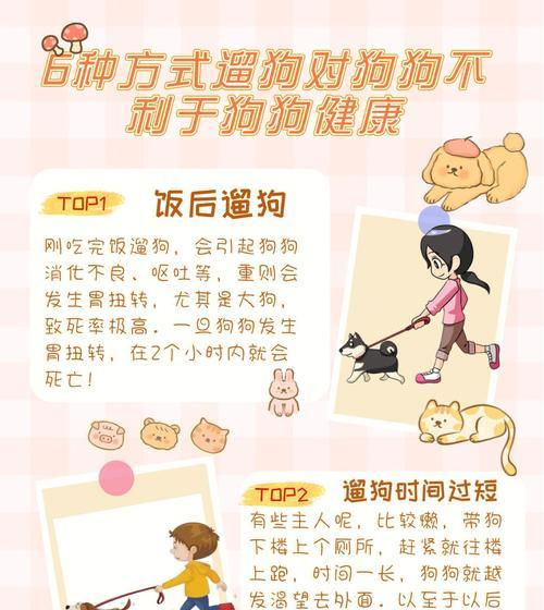 遛狗回家后的正确洗脚方法（教你如何给狗狗洗脚，让它舒适又干净）