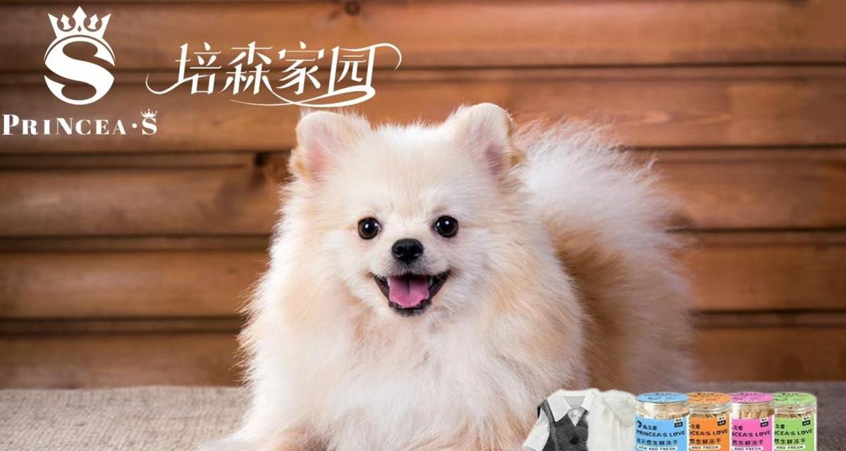 狗狗可以吃枣吗？营养丰富的枣泥是不错的选择（掰开或者做成枣泥再喂，这是最好的方式）