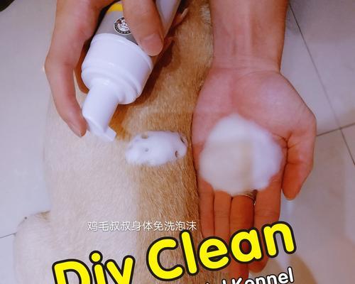 洗澡的最佳时间和频率（根据个人需求和身体条件合理决定洗澡时间和频率）