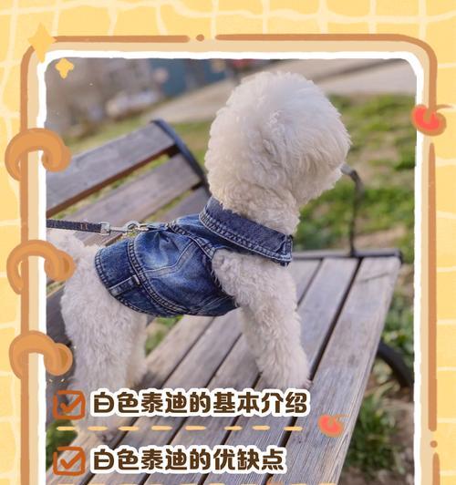 泰迪犬为何长白毛？（探究泰迪犬长白毛的原因及其影响）