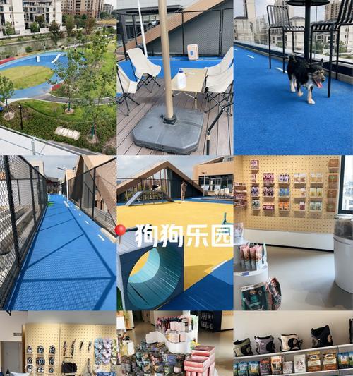 狗狗生完崽后多久可以洗澡？（探究适时洗澡的关键，呵护新生崽的健康）