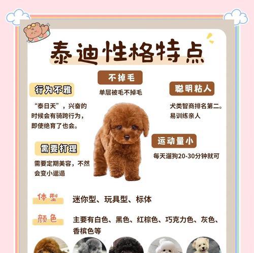 泰迪奶狗（泰迪奶狗眼睛睁开的时间及原因解析）