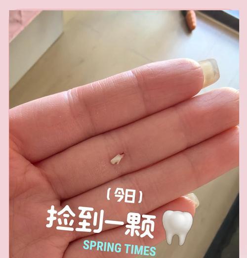 小狗换牙周期及新牙生长速度（了解小狗换牙的时间和过程，）