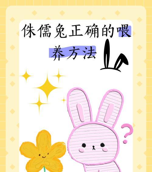 小兔子喂奶需要多久？（探究小兔子喂奶的时间和频率）