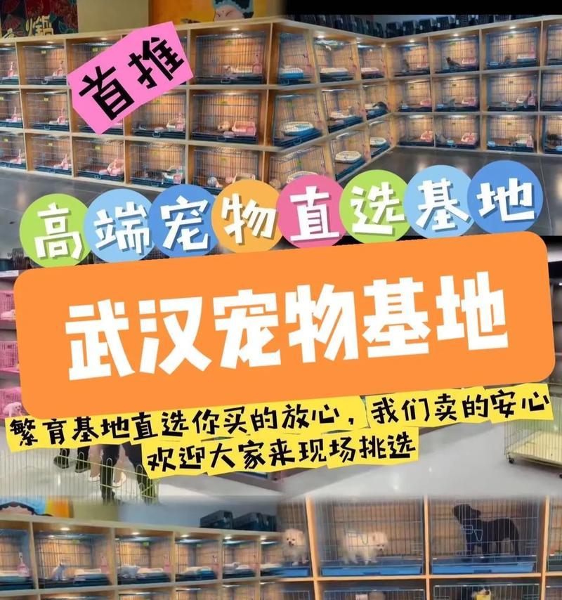 武汉汉阳地区的正规犬舍盘点