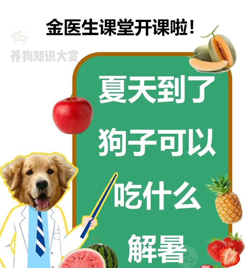 三岁狗狗的饮食需求及注意事项（宠物狗狗的合理饮食规划与养护指南）