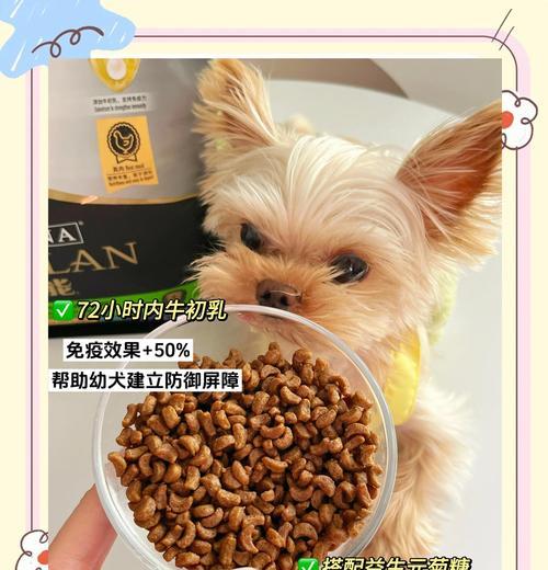 金毛幼年必打针的重要性（宠物犬金毛幼年防疫的必要措施及注意事项）