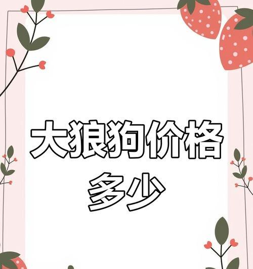 昆明犬价格及购买指南（了解昆明犬价格，选择适合你的宠物伙伴）