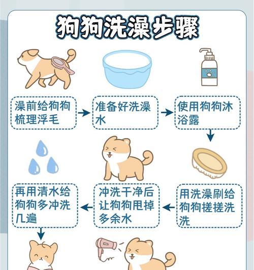 如何给你的狗狗进行完美美容（一步一步教你如何为你的狗狗进行美容，让它始终保持清爽可爱）