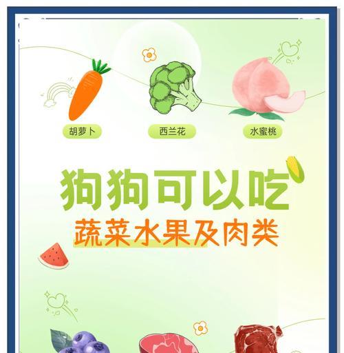 小狗可以吃胡萝卜吗？胡萝卜煮多久才适合小狗食用？（了解如何正确给小狗煮胡萝卜以满足其营养需求）