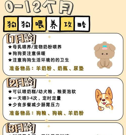 母狗生小狗后多久下奶？（了解小狗成长的关键时刻）