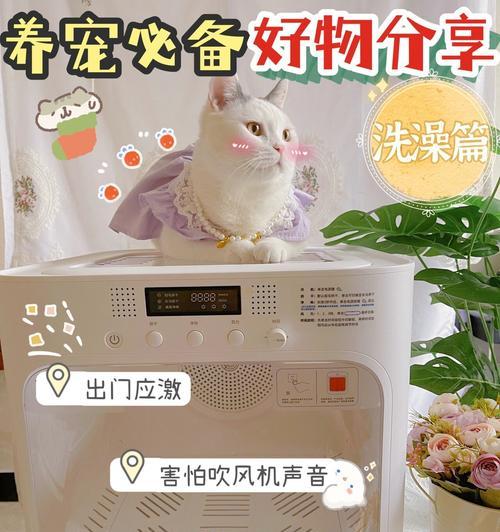 如何正确给家里的猫咪洗澡（铲屎官分享养猫小技巧，助猫咪保持整洁）