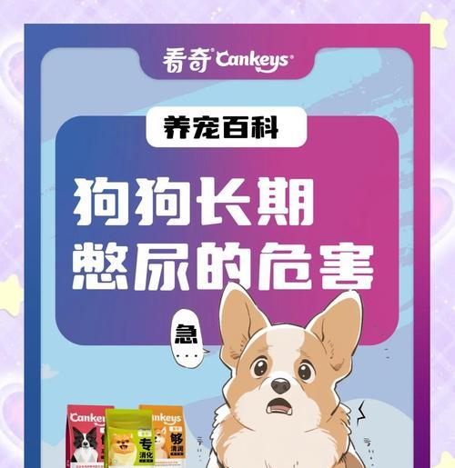 幼犬憋尿时间多久合适？（宠物主人必读的小狗大小便训练指南）