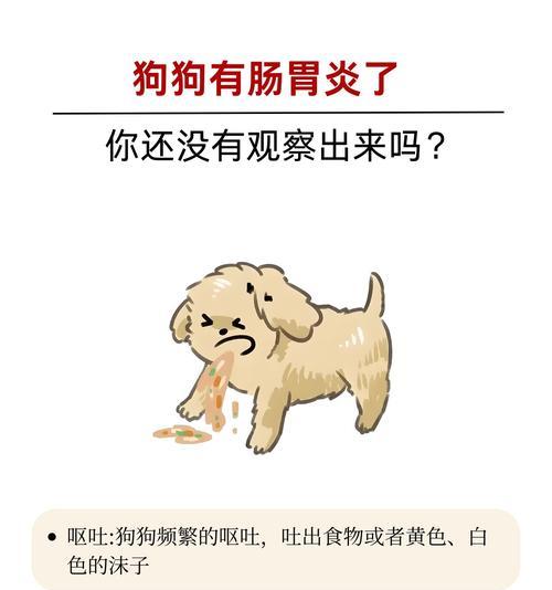犬胃炎的症状、治疗与预防方法（狗狗呕吐怎么办？频繁吐可能是患了胃炎）