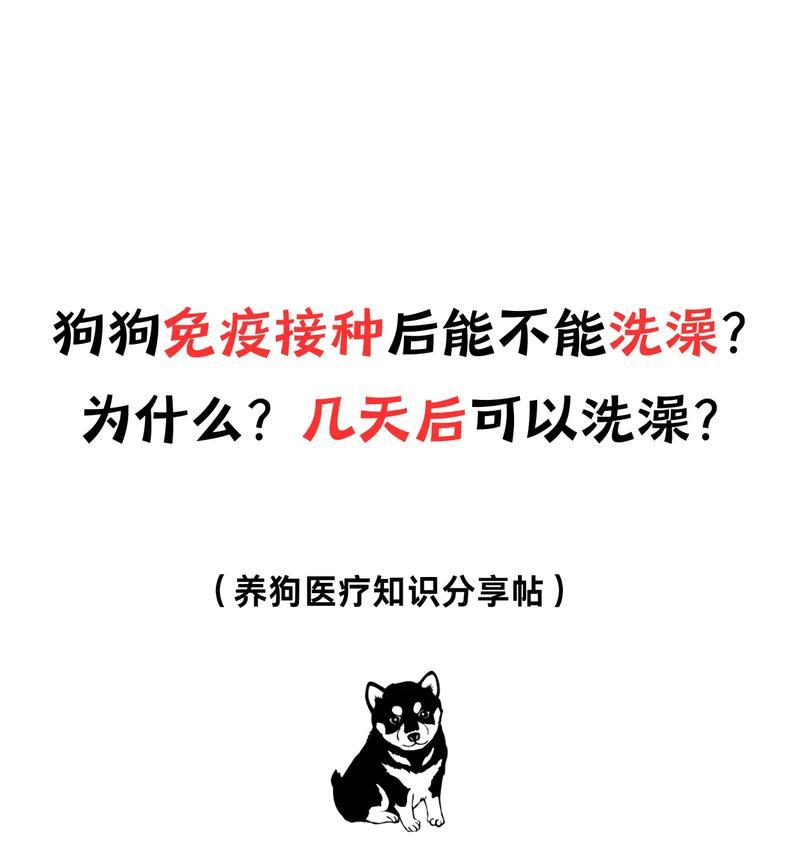 狗狗生下来多久可以洗澡？（探讨合适的洗澡时机和注意事项）