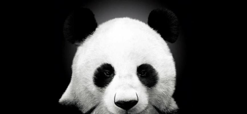 大熊猫（探究大熊猫为何成为素食主义者的原因及其对演化的影响）