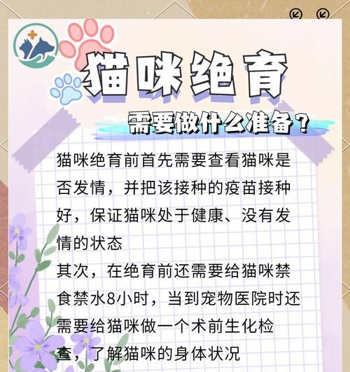 猫咪生产后何时进行绝育？（猫咪绝育时机及注意事项）