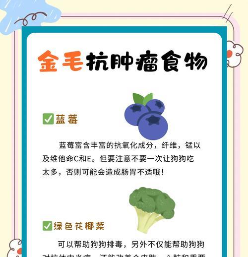 金毛的饮食（金毛饮食指南）