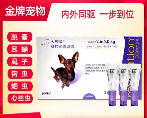 博美狗疗程多久吃一次蛔虫药？（了解博美狗蛔虫药物使用频率及注意事项）