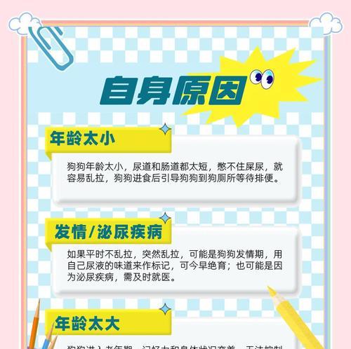 如何让狗狗在家定点大小便（七招教会狗狗养成良好的大小便习惯）