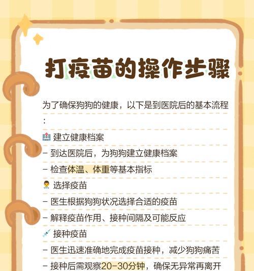 新生狗狗的疫苗接种计划（宠物健康的关键，及时打疫苗保护宝贝）
