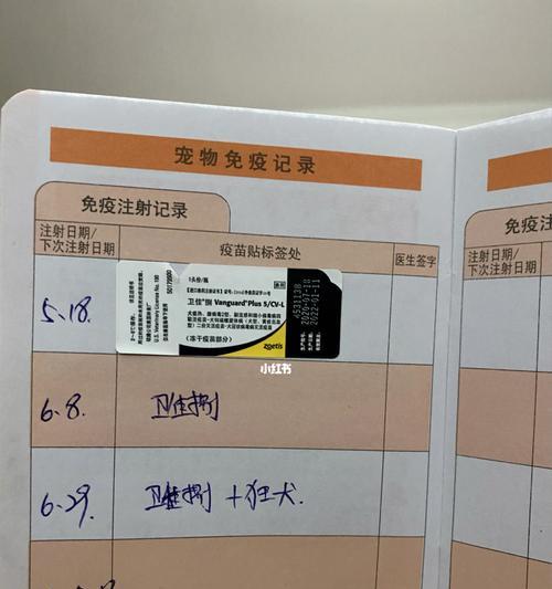 狗崽打疫苗的时间和注意事项（保护狗崽健康的必要措施与建议）