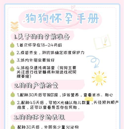 边牧体外驱虫的频率选择及注意事项（科学指导下的边牧体外驱虫时间表与护理建议）