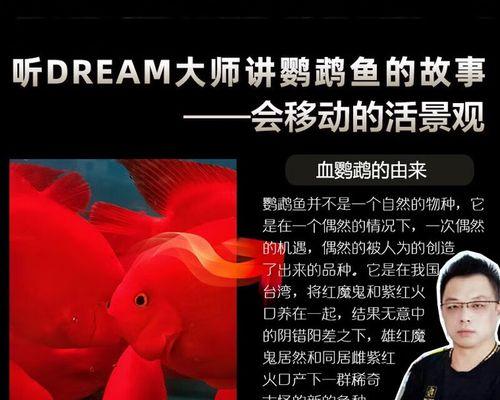 鹦鹉鱼大全（解析鹦鹉鱼的外观特征和区别方法）