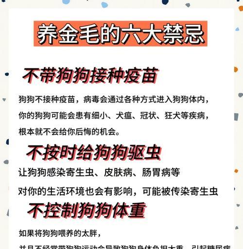 金毛犬的成长阶段及照顾需求（从幼犬到老年，照顾金毛的五个阶段）