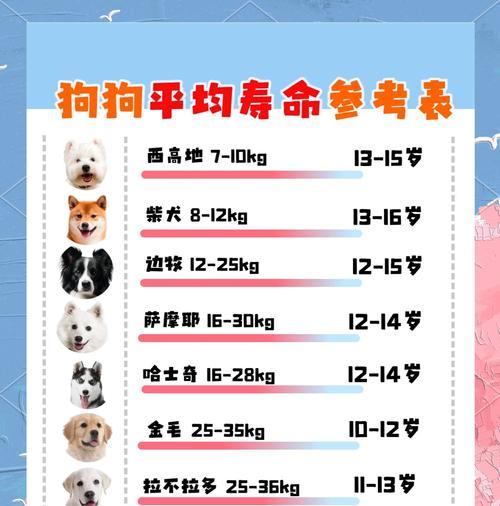 狗狗每天溜4次，避免憋尿的最佳时间安排（如何合理安排狗狗溜弯的时间，防止憋尿问题的发生）