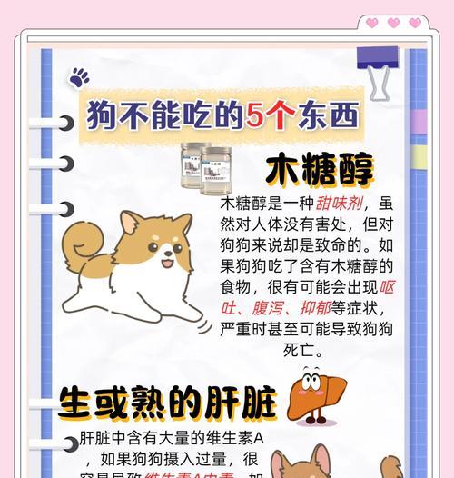 禁食食物可谓杀狗性命？（了解这15种禁食食物，守护狗狗的健康与生命）