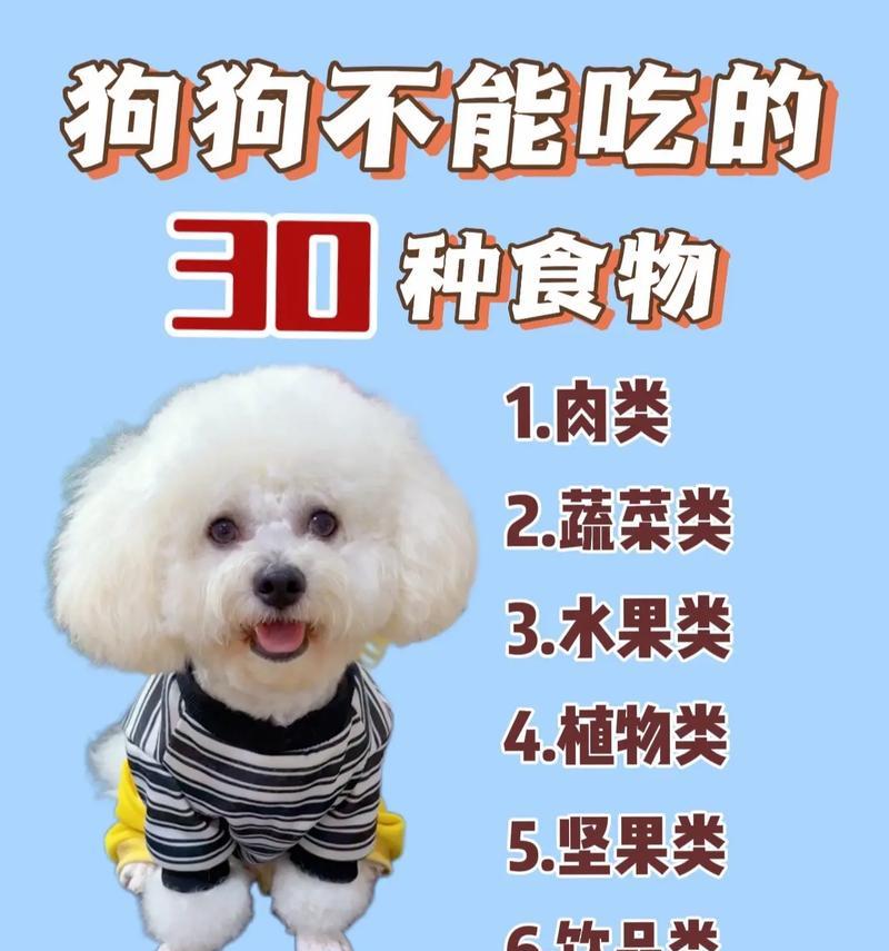 狗的消化过程有多长时间？（探寻狗的消化系统以及消化食物所需的时间）