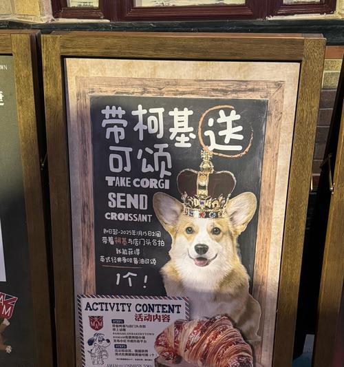 柯基月经周期及注意事项（柯基月经周期长短与健康养护）