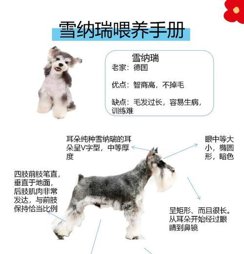 雪獒养殖指南（了解雪獒驯养的关键方法，让你与它建立深厚的友谊）