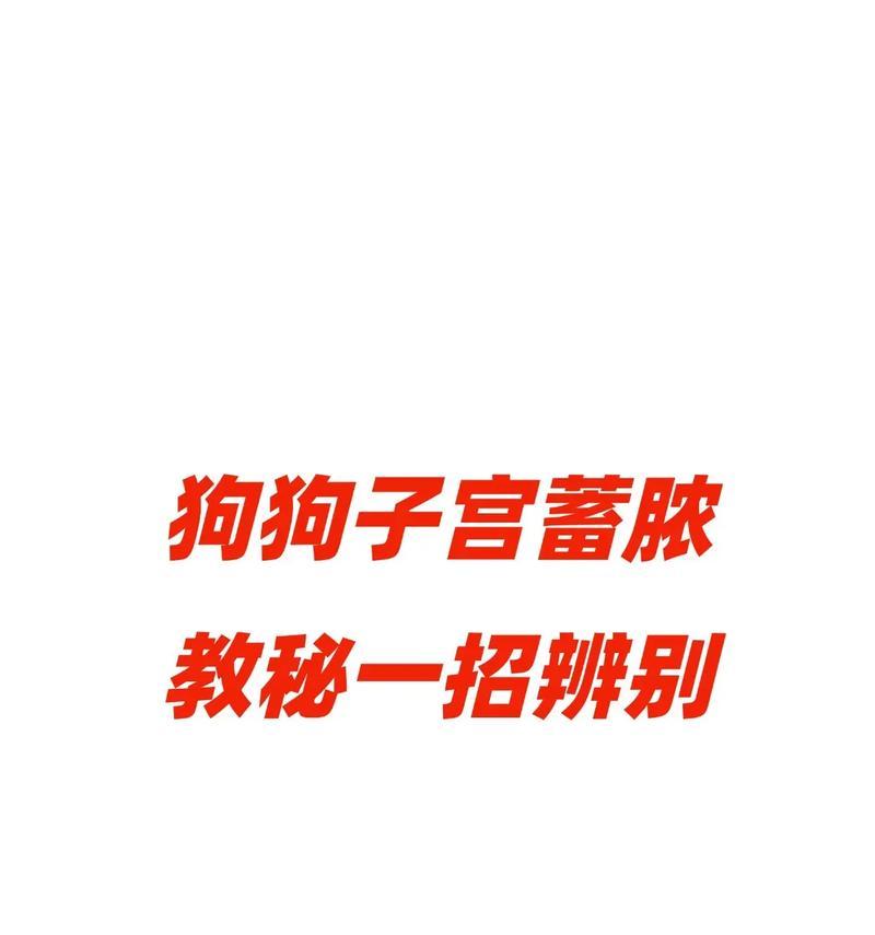 如何准确辨别狗狗的年龄？（学会这个，再也不怕狗贩子虚报年龄了）
