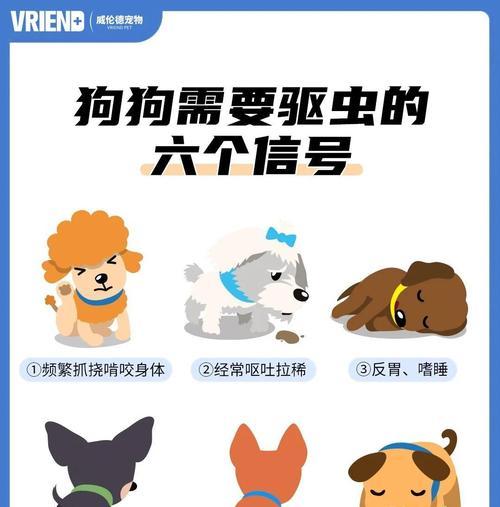 揭秘（如何正确处理狗狗身上的寄生虫问题）